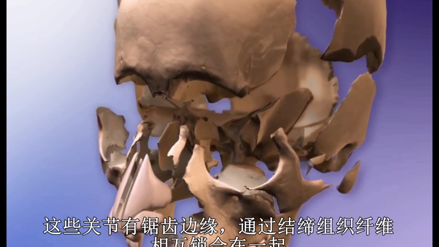 头颅骨连接 中文字幕